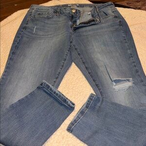 Sonoma Denim Skinny Jeans